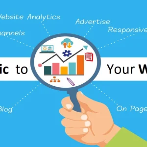 Website Traffic Packages (Business Plus - $499)